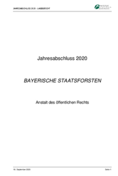 Jahresabschluss 2020