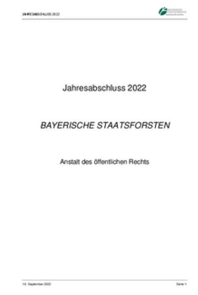 Jahresabschluss 2022
