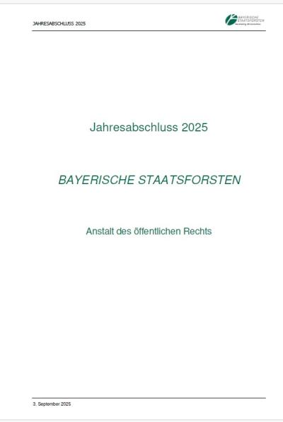 Titelseite des Jahresabschlusses 2025