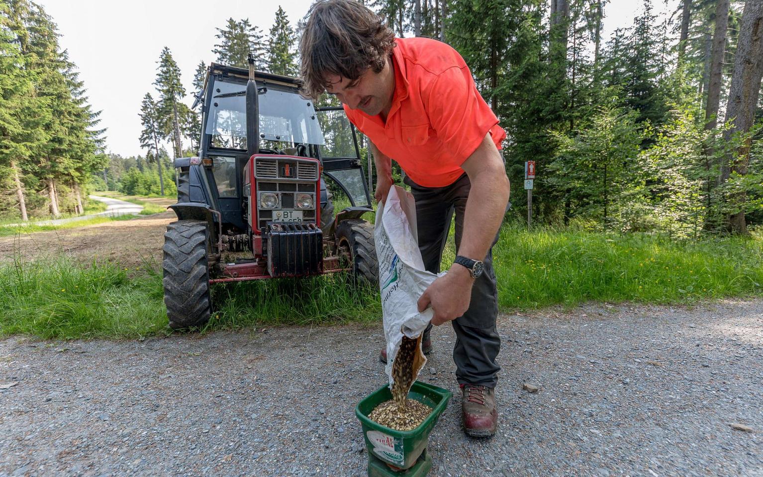 Mitarbeiter füllt die Samen um