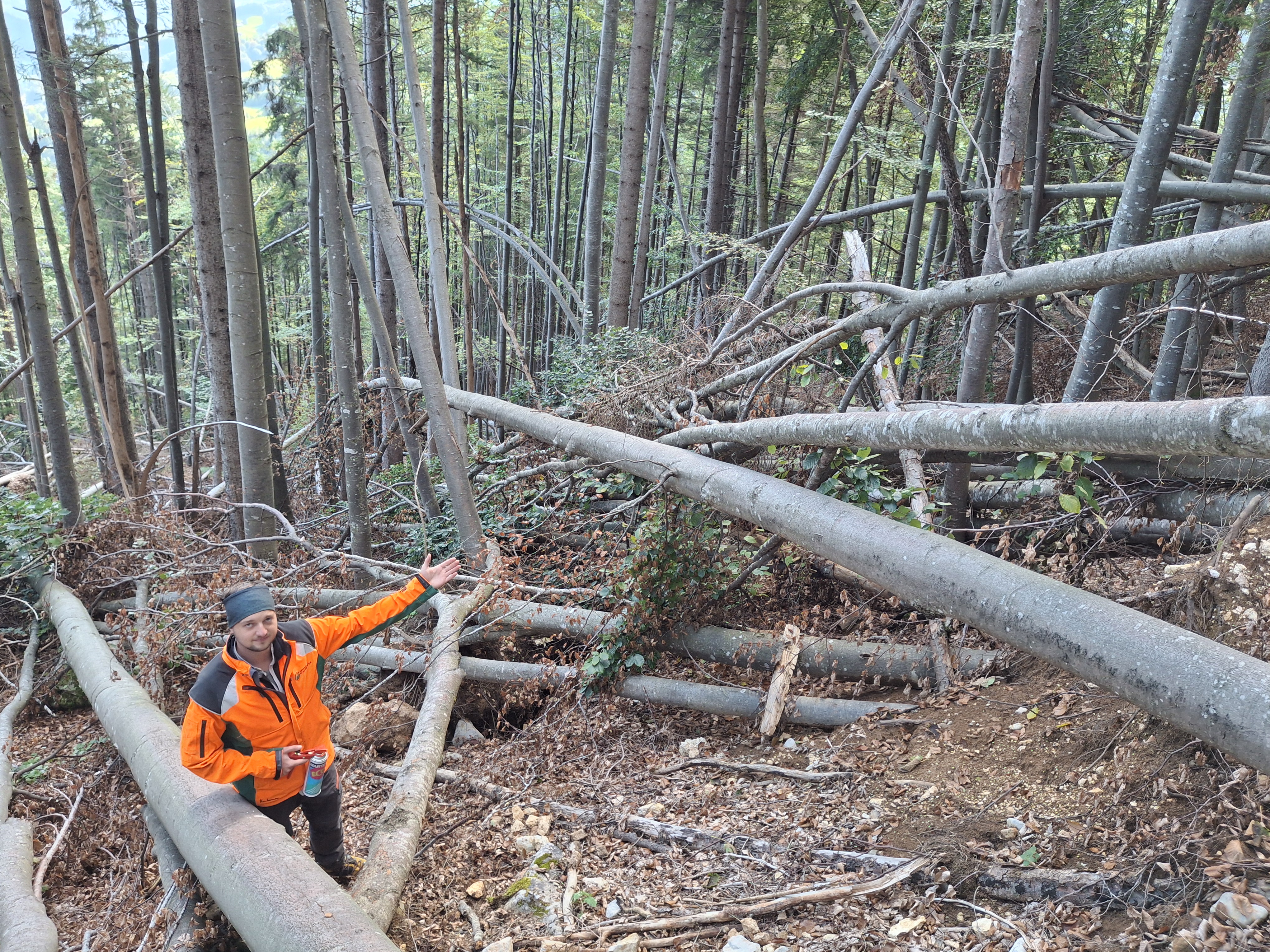 Förster zeigt Schneebruch