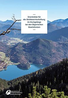 Bergwaldrichtlinie