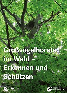 Großvogelhorste im Wald