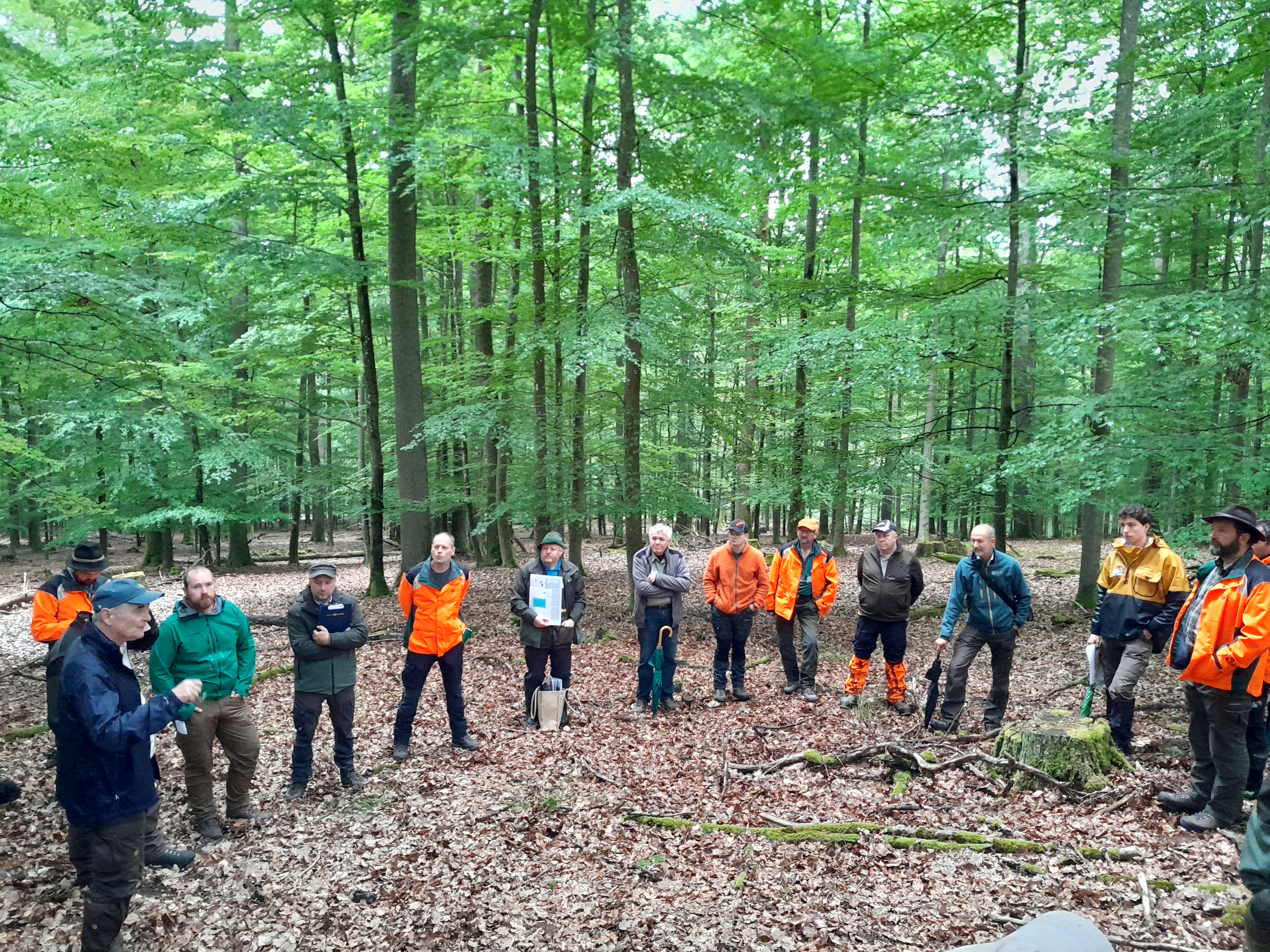 Grundlagenbegang am Forstbetrieb Hammelburg.