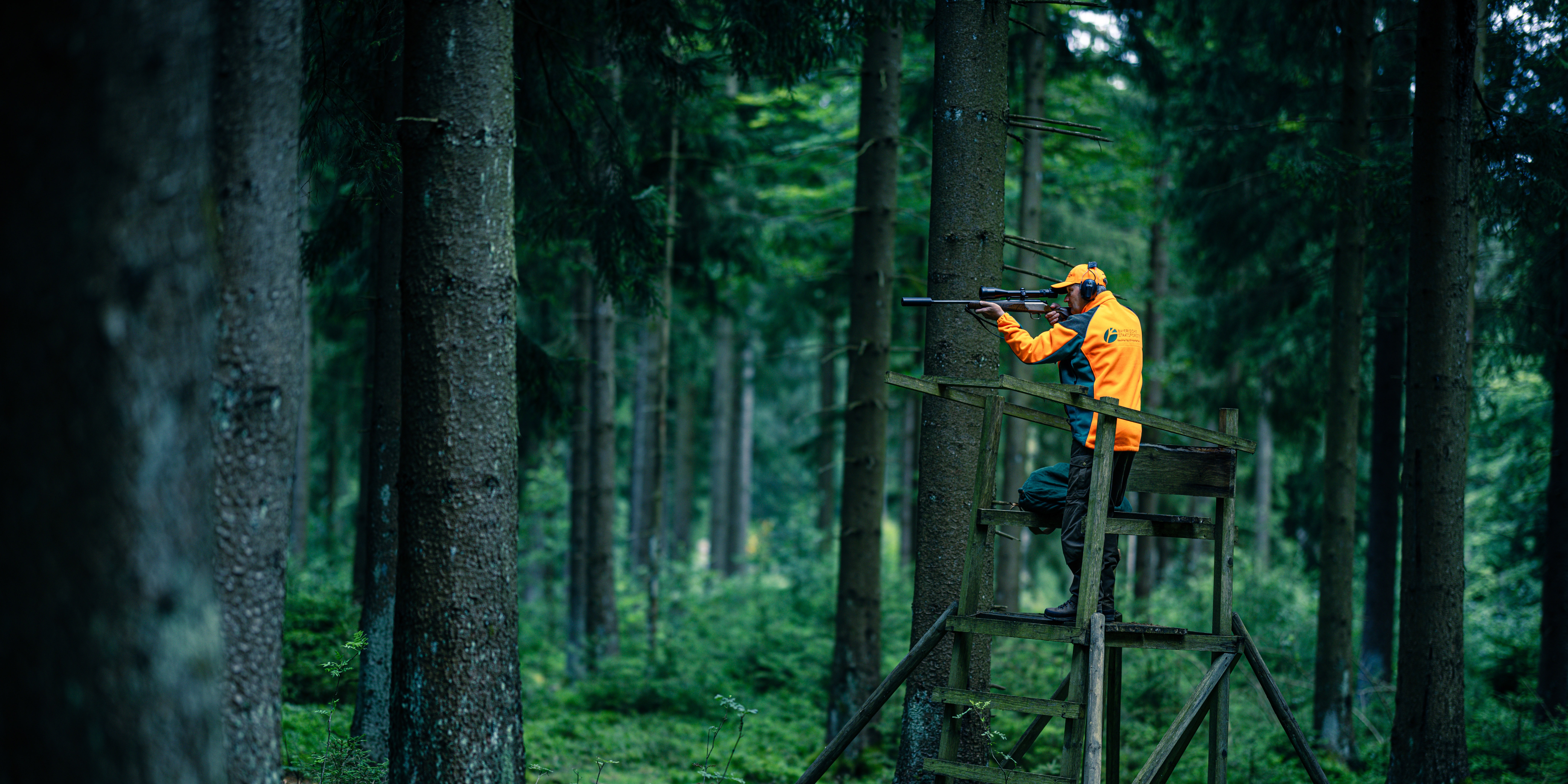 Jagd bei den Bayerischen Staatsforsten