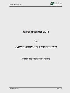 Jahresabschluss 2011