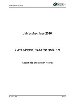 Jahresabschluss 2016