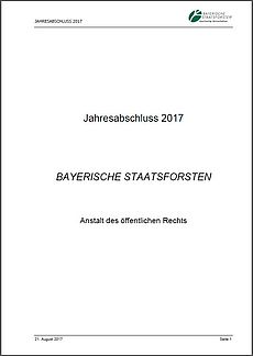 Jahresabschluss 2017