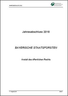 Jahresabschluss 2018