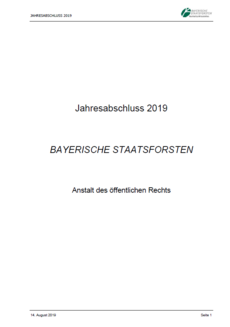 Jahresabschluss 2019