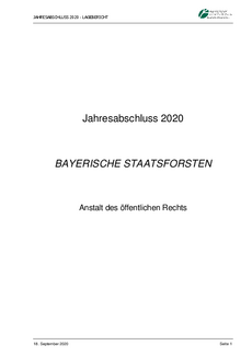 Jahresabschluss 2020