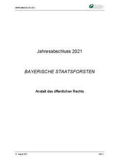 Jahresabschluss 2021