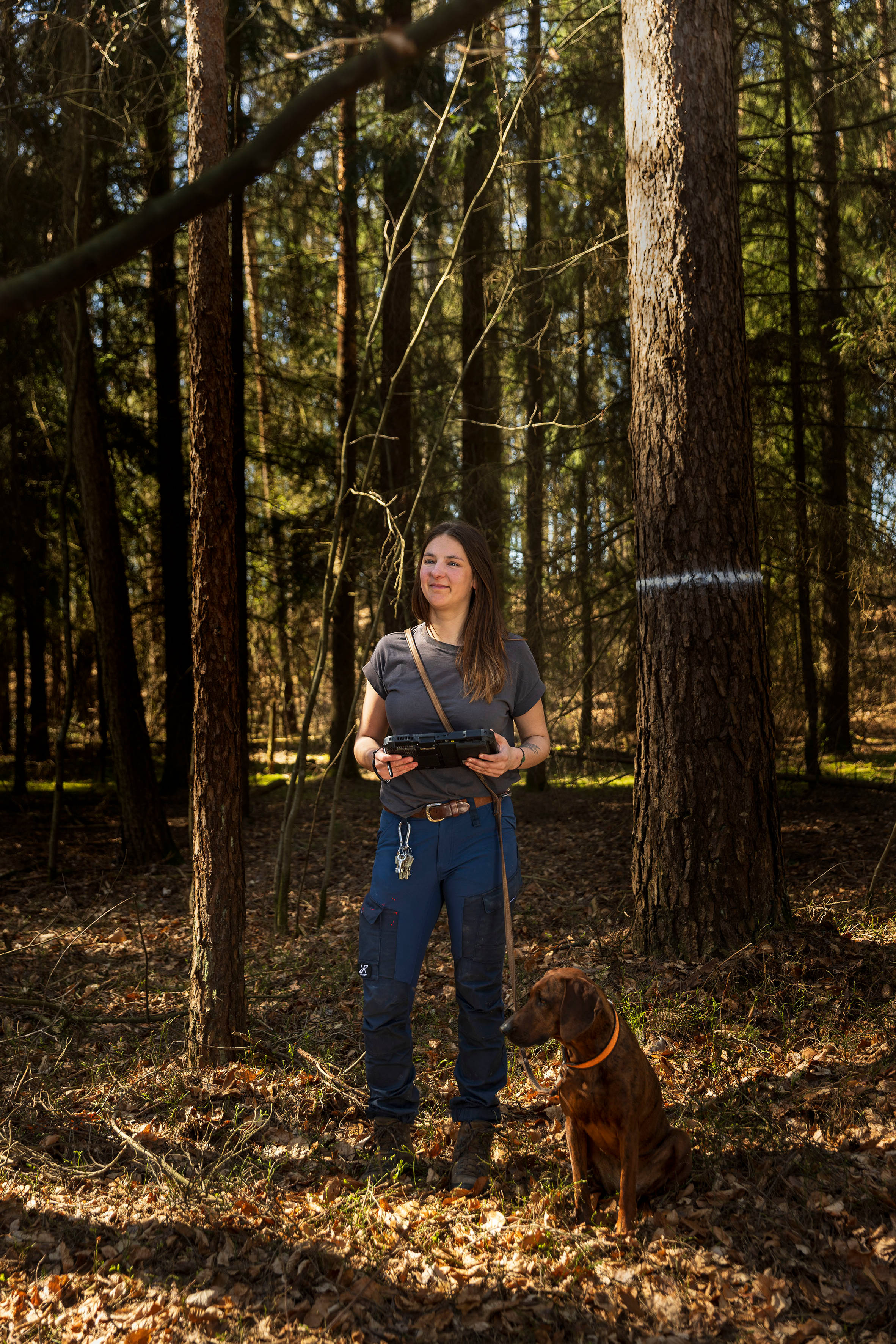 Försterin steht im Wald mit Tablet und Hund