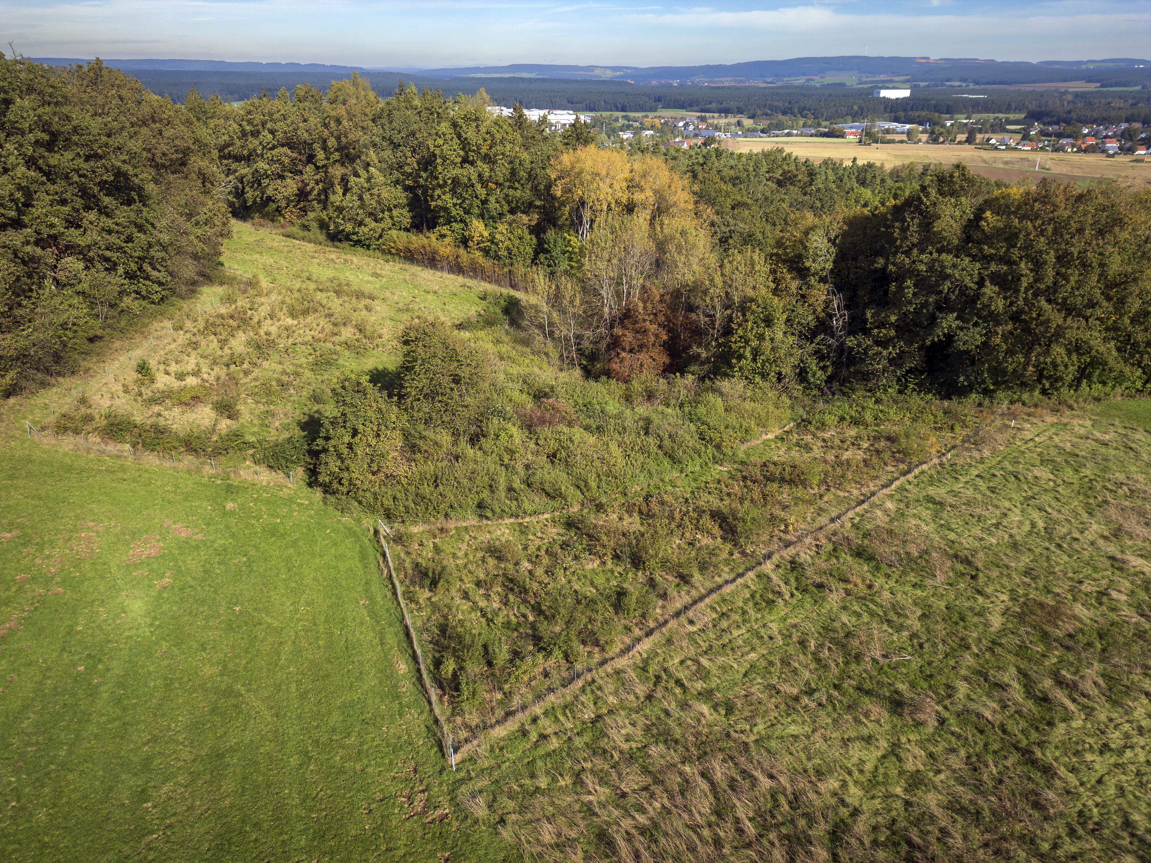 Erstaufforstung Eichelberg
