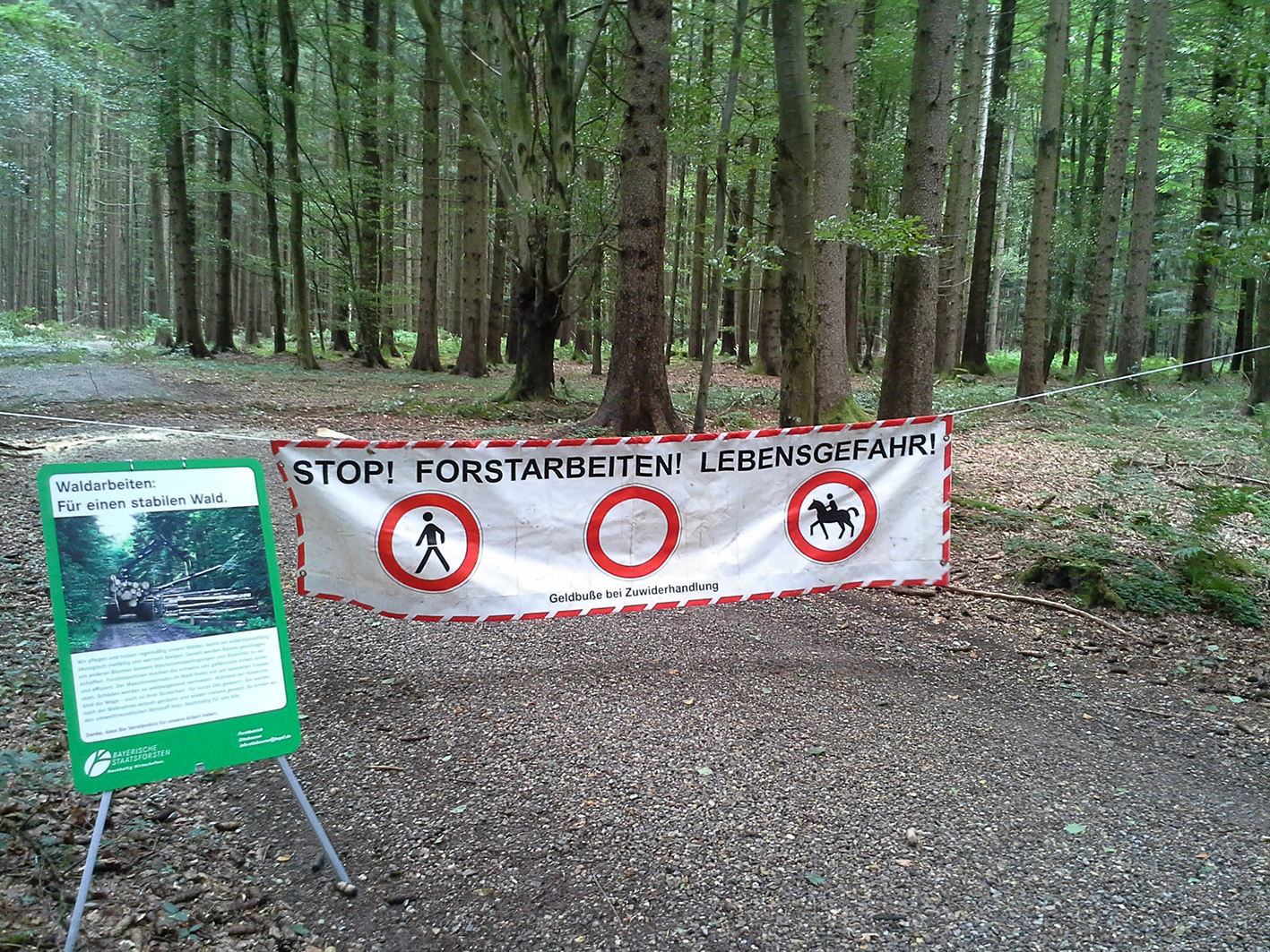 Absperrung im Wald wegen Waldarbeiten