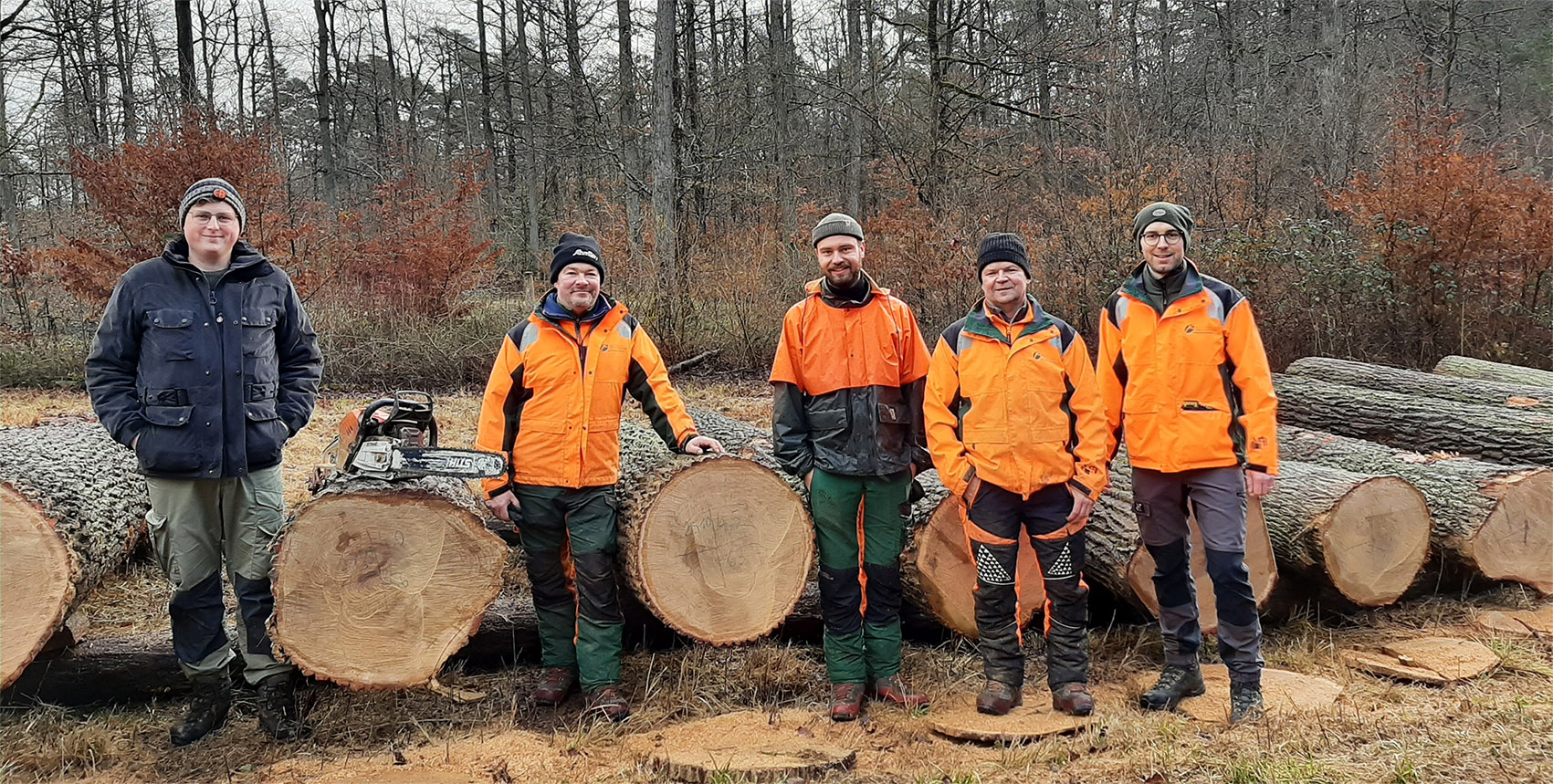 Forstwirte stehen vor Stämmen, die für die Submission vorbereitet wurden