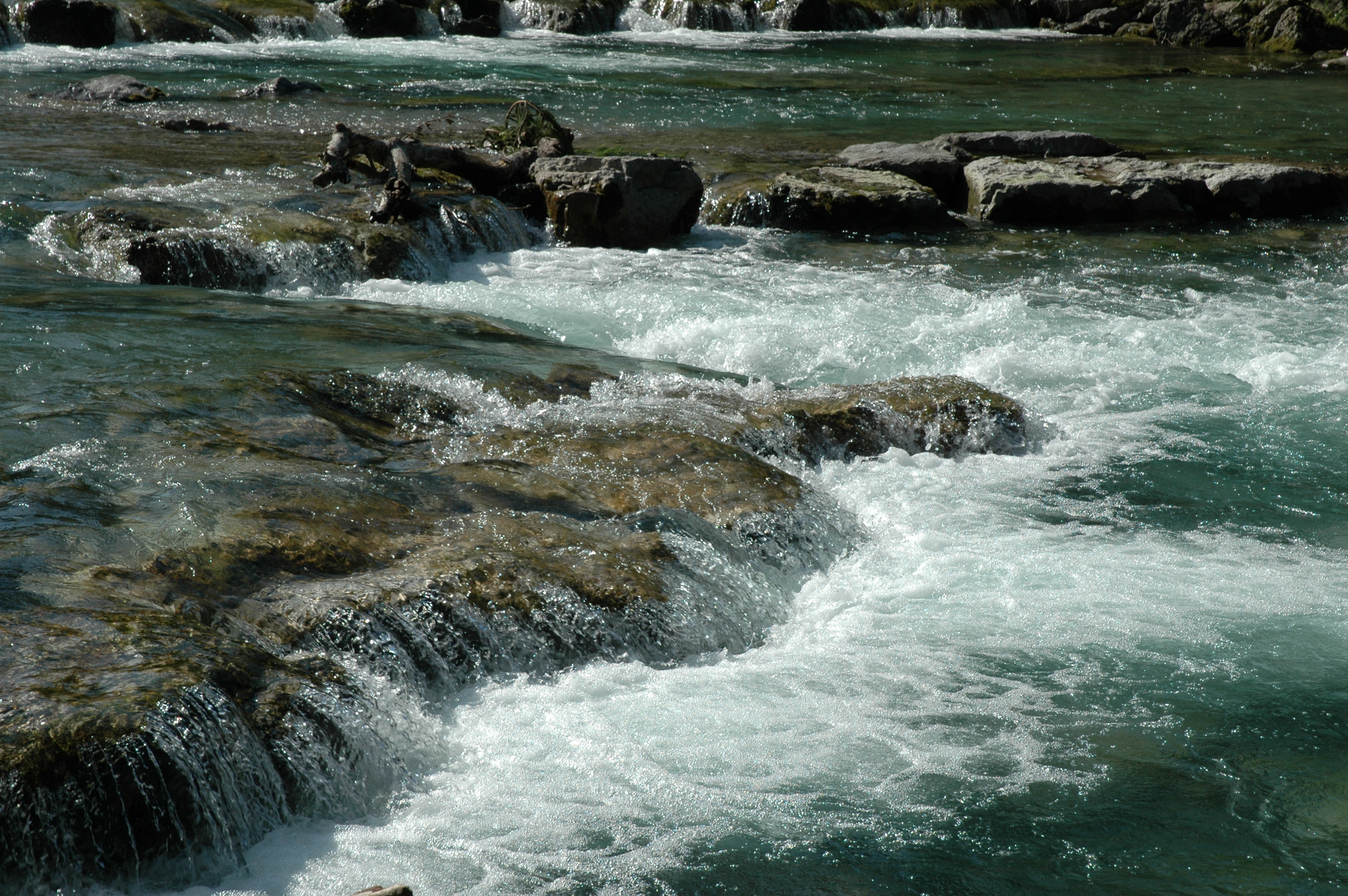 Wasser oder Flusslauf im Bayerischen Staatswald