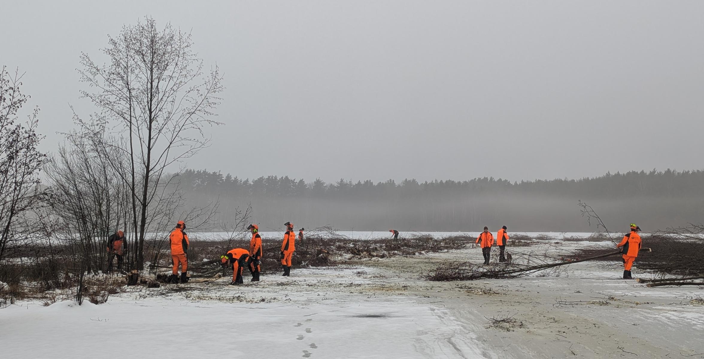 Azubis bei den Arbeiten