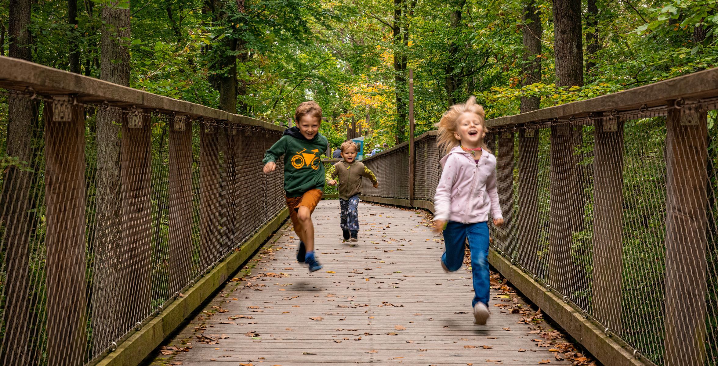 Kinderspaß am Baumwipfelpfad.