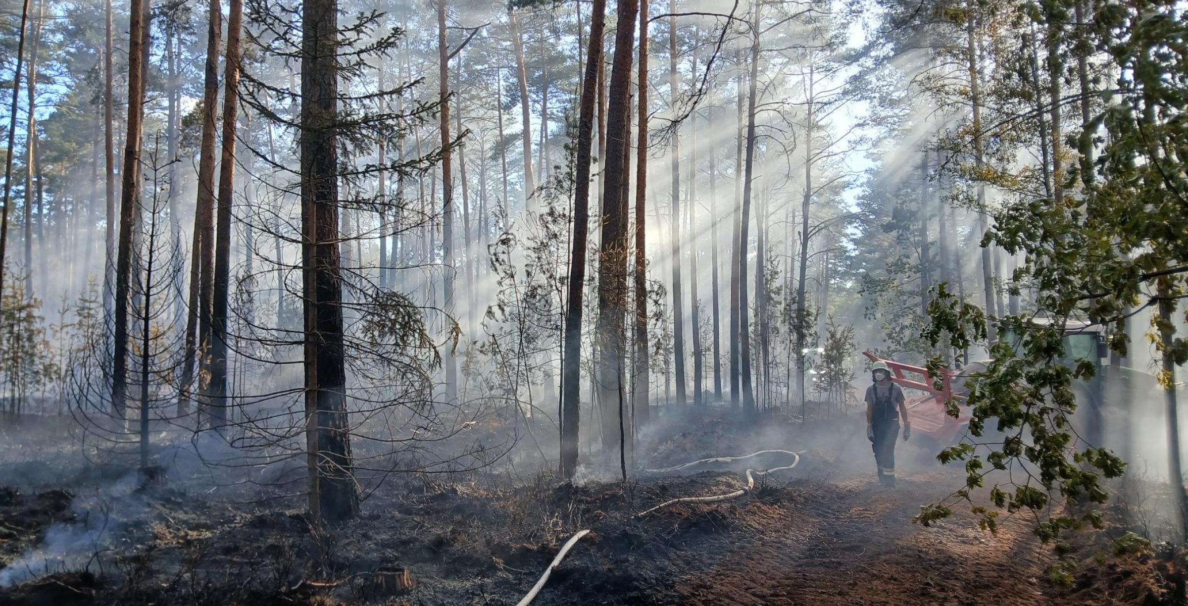 Vegetationsbrand bei Allersberg
