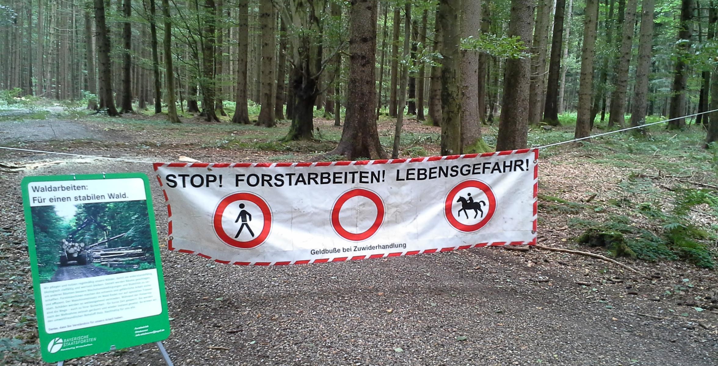 Absperrung im Wald