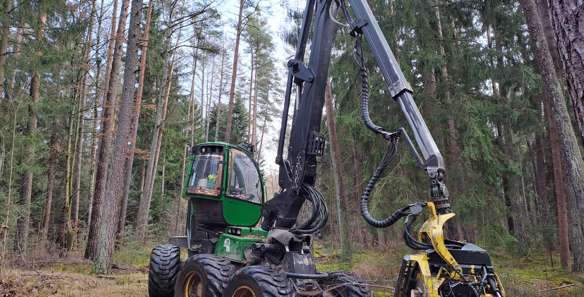 Radharvester vor Kiefernbestand