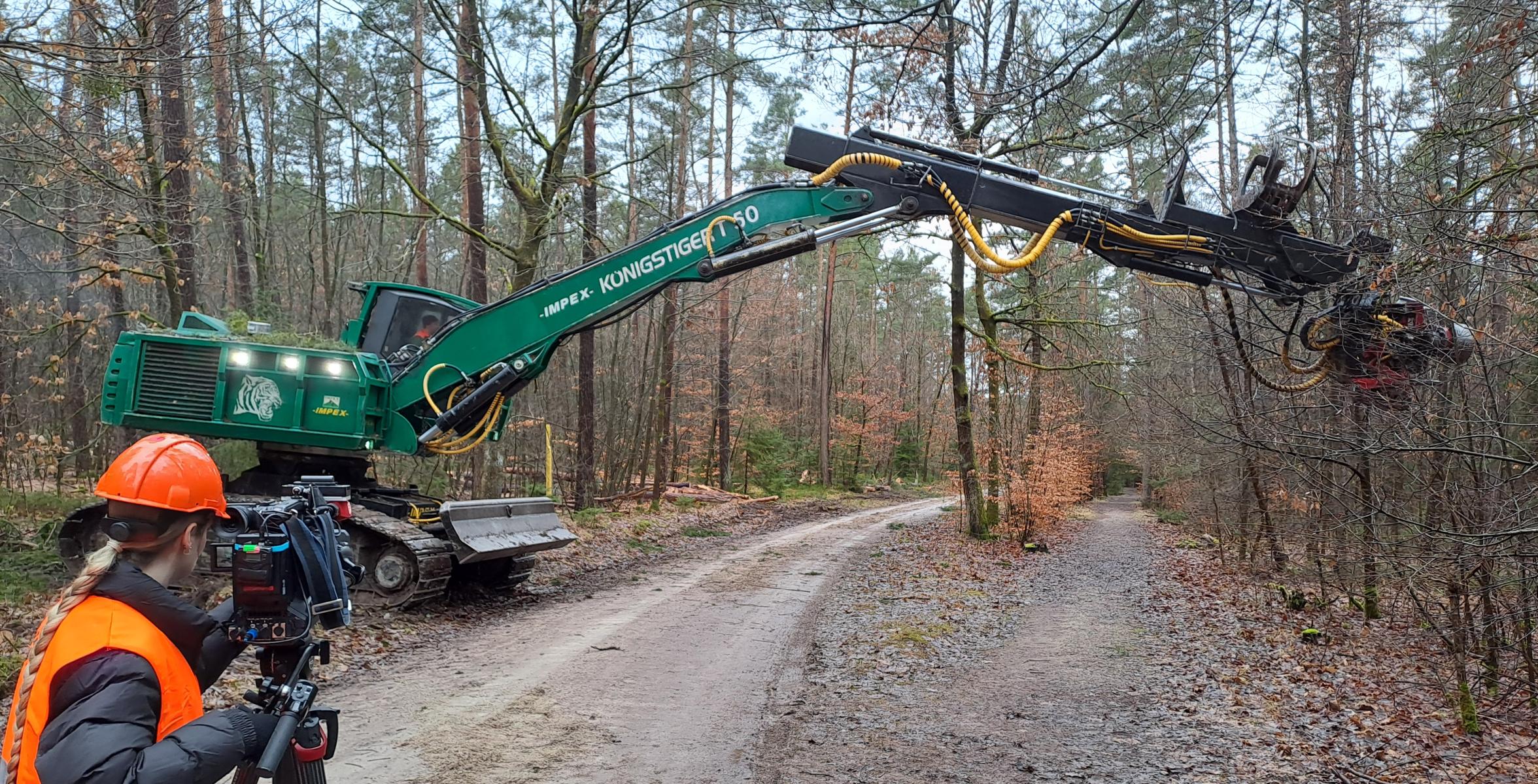Stehendentnahmeharvester im Einsatz