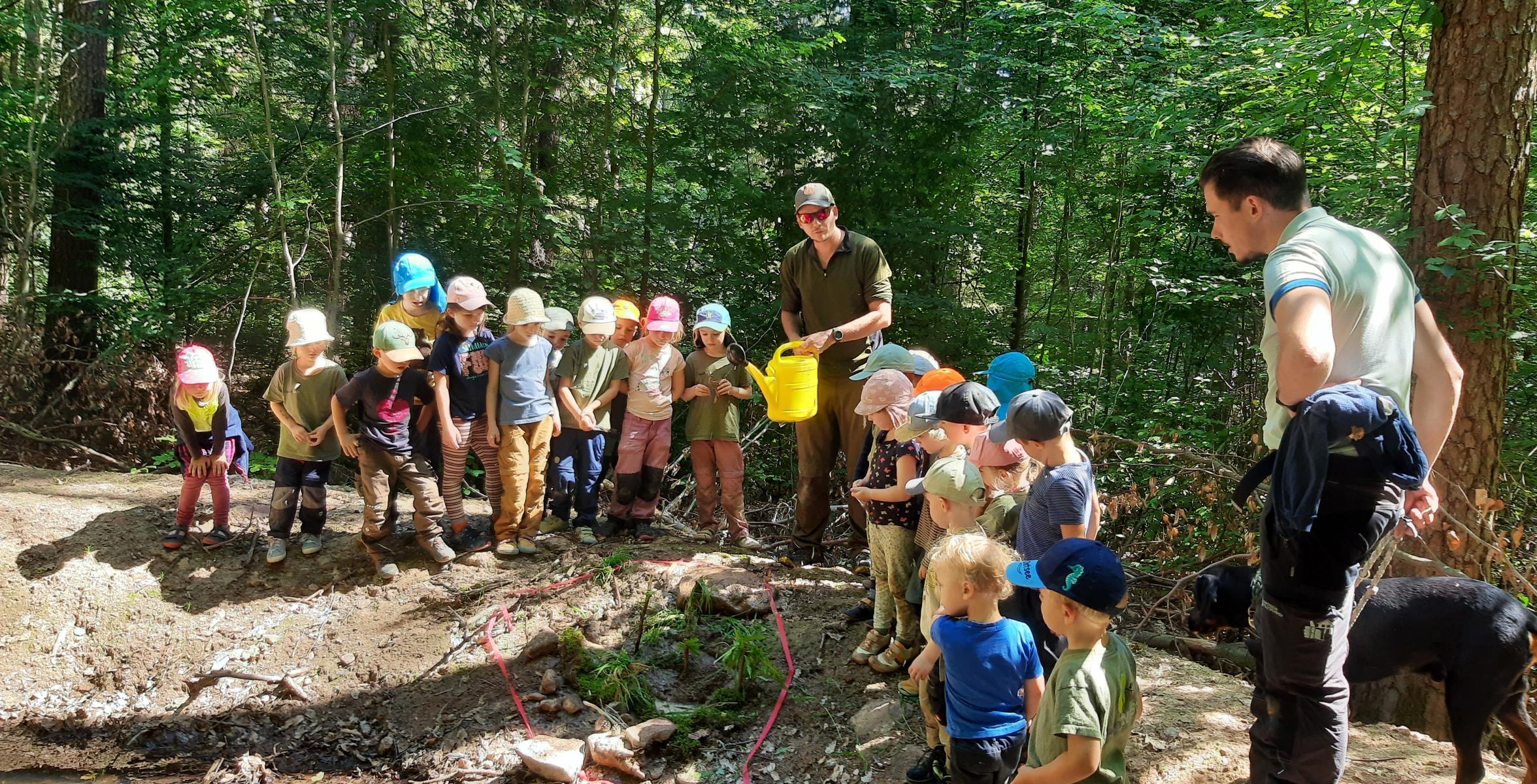 Waldkindergarten auf Exkursion