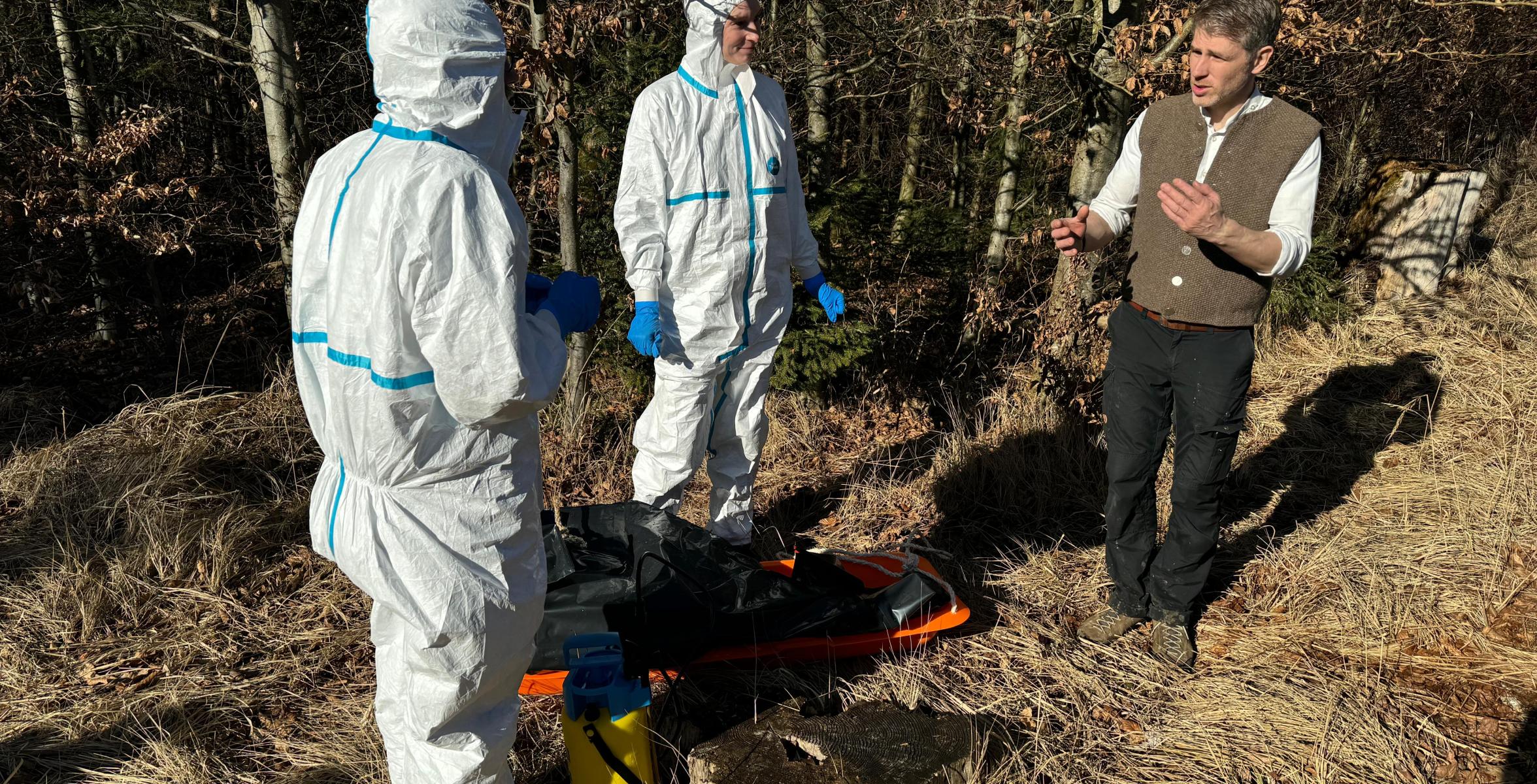 Afrikanische Schweinepest 1