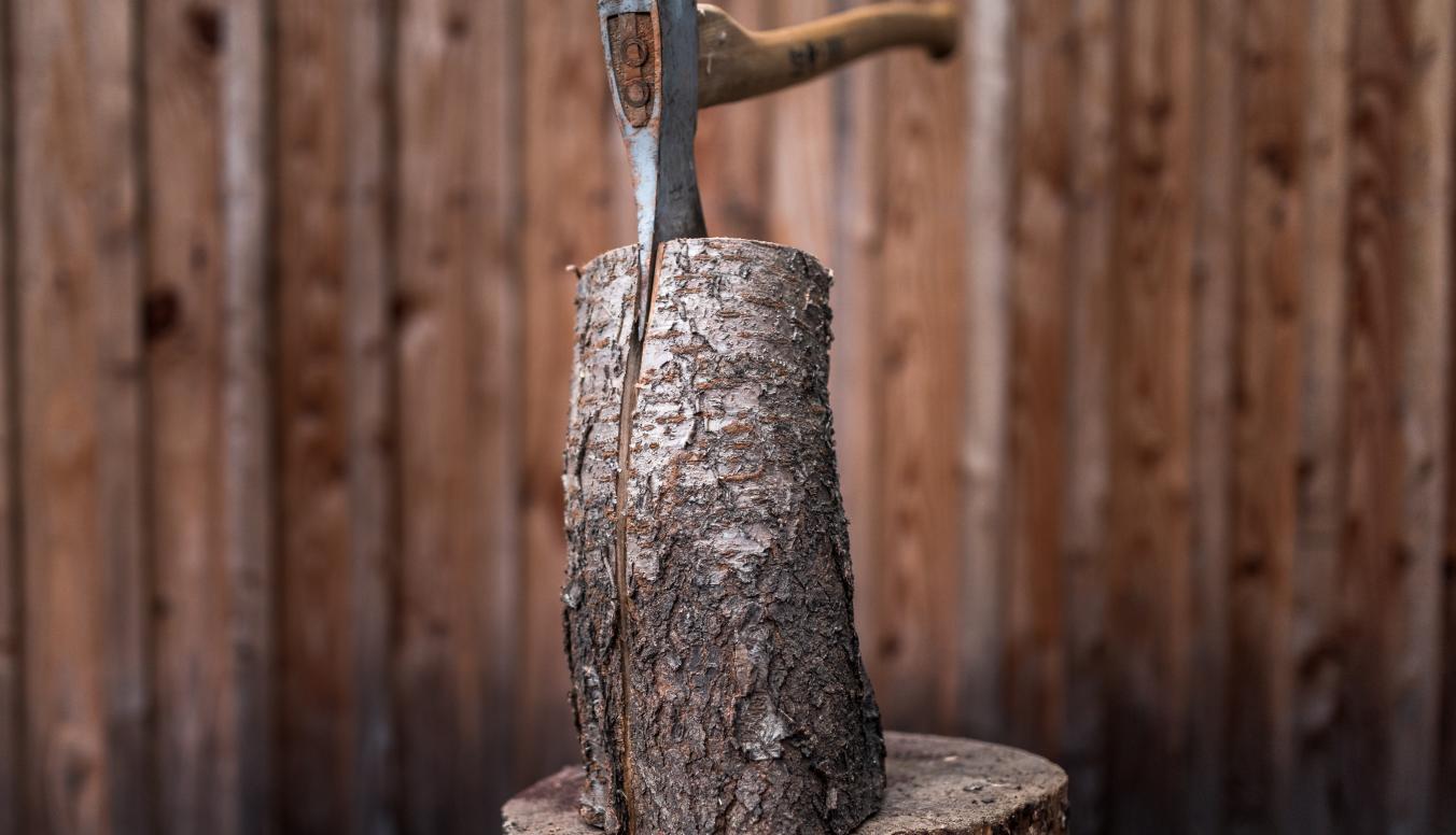 Ihr eigenes Brennholz aus nachhaltiger Forstwirtschaft