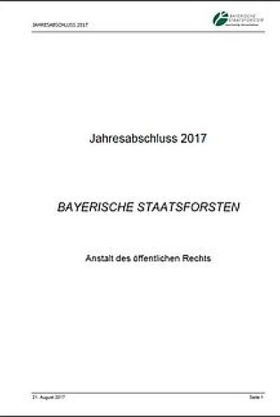 Jahresabschluss 2017