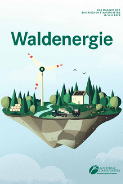 Waldenergie