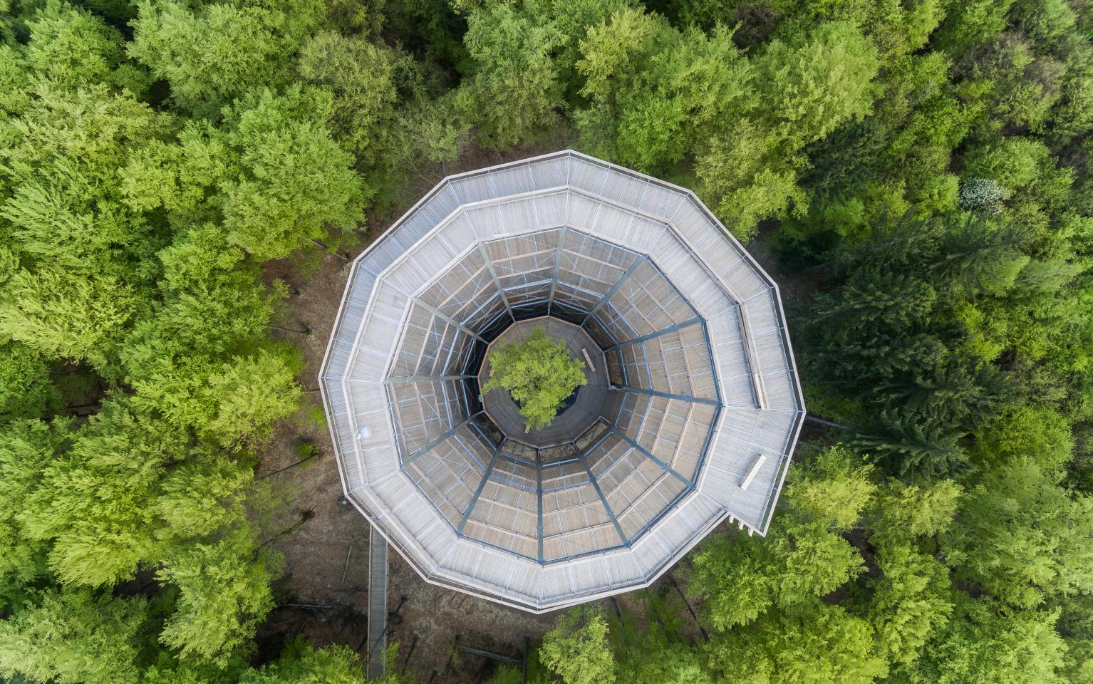 Baumwipfelpfad Steigerwald