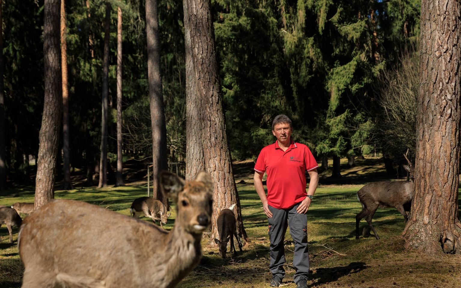 Förster in Wildgehege mit Wildtieren