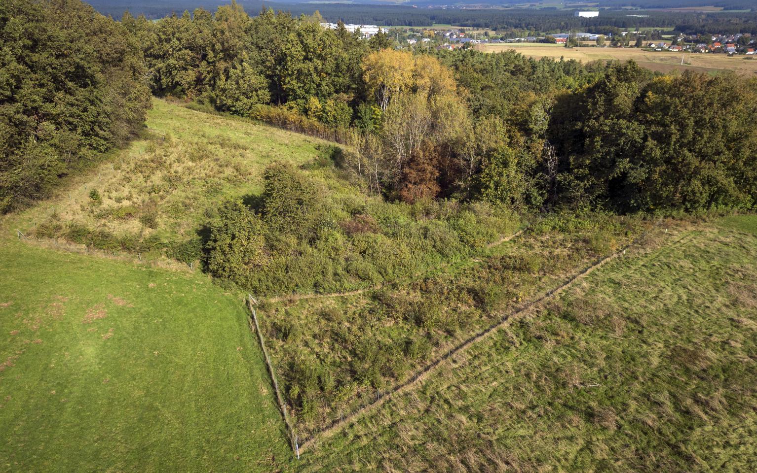 Erstaufforstung Eichelberg